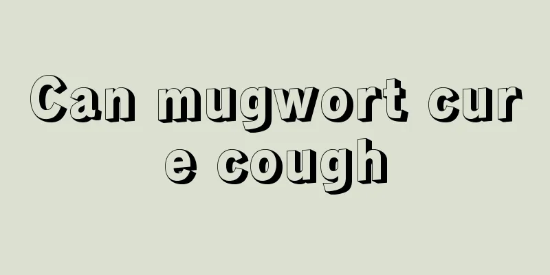 Can mugwort cure cough