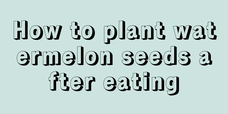 How to plant watermelon seeds after eating