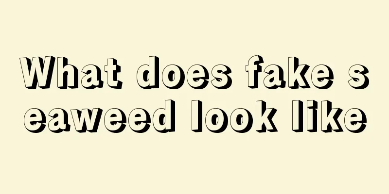 What does fake seaweed look like