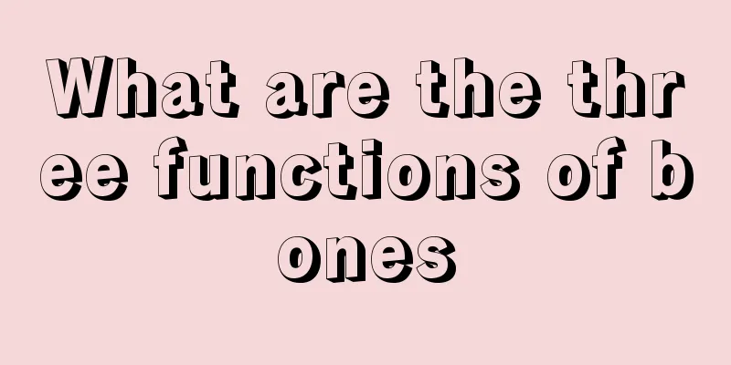 What are the three functions of bones