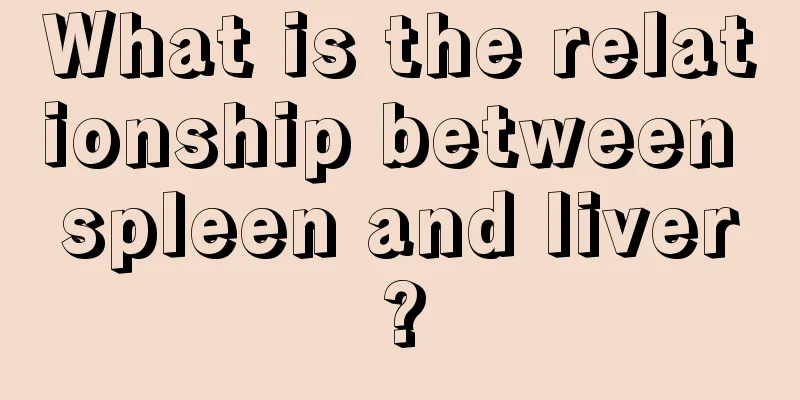What is the relationship between spleen and liver?