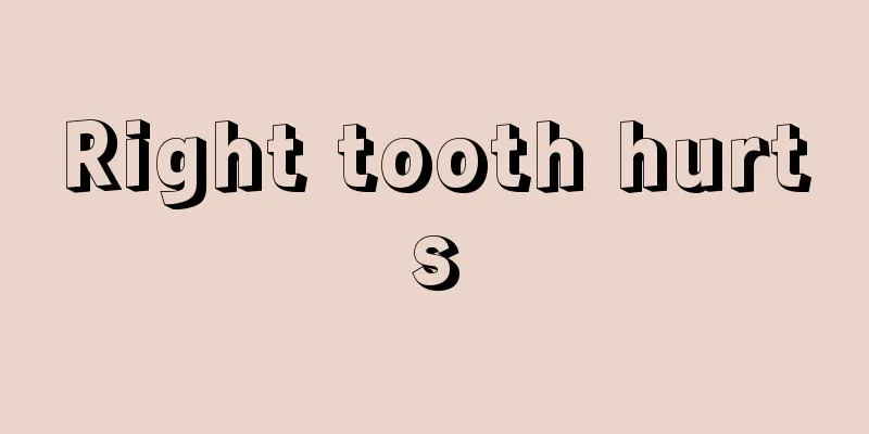 Right tooth hurts
