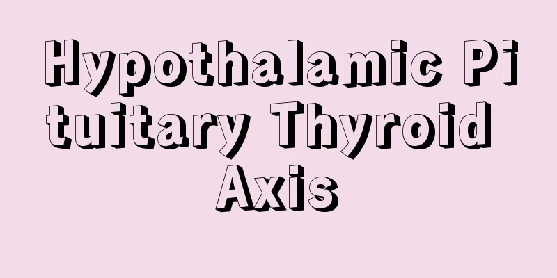 Hypothalamic Pituitary Thyroid Axis