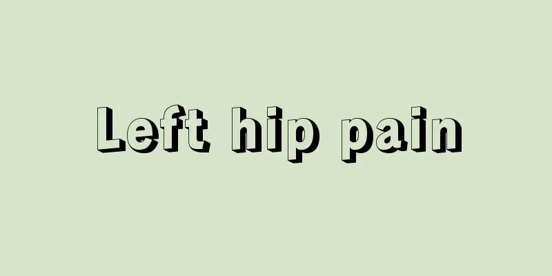 Left hip pain