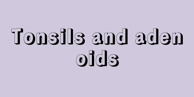 Tonsils and adenoids