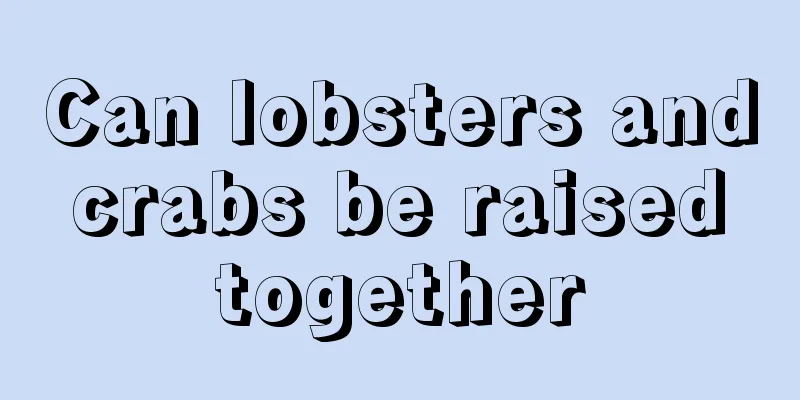 Can lobsters and crabs be raised together