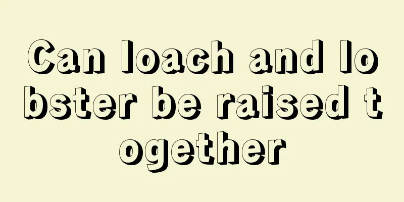 Can loach and lobster be raised together