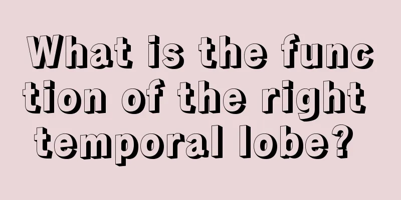 What is the function of the right temporal lobe? 