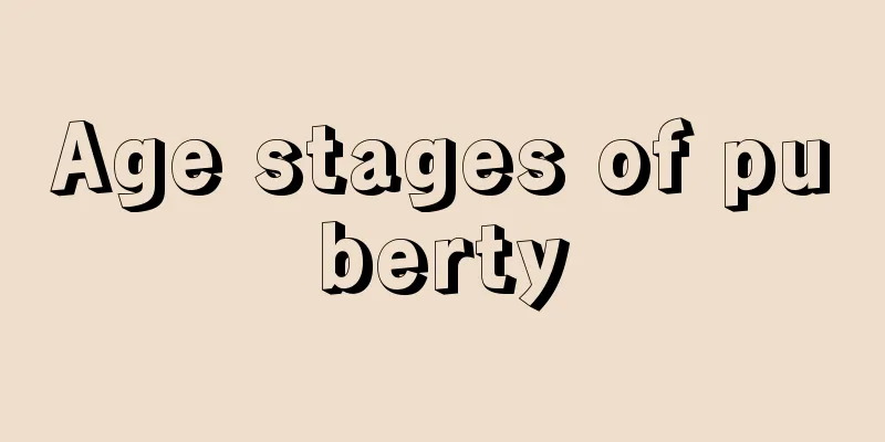 Age stages of puberty