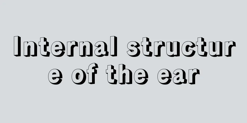 Internal structure of the ear