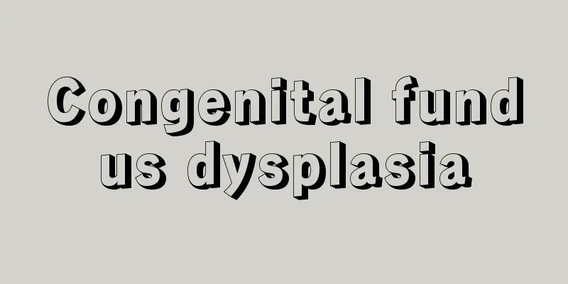 Congenital fundus dysplasia