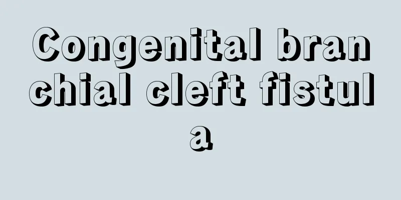 Congenital branchial cleft fistula