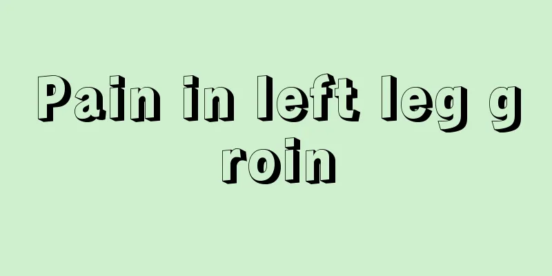 Pain in left leg groin
