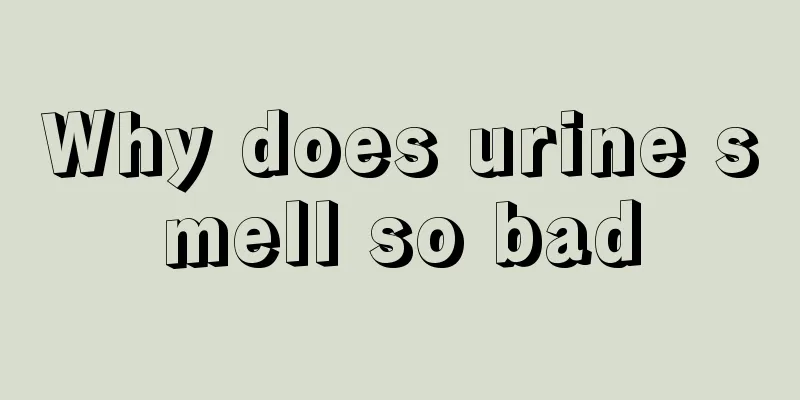 Why does urine smell so bad