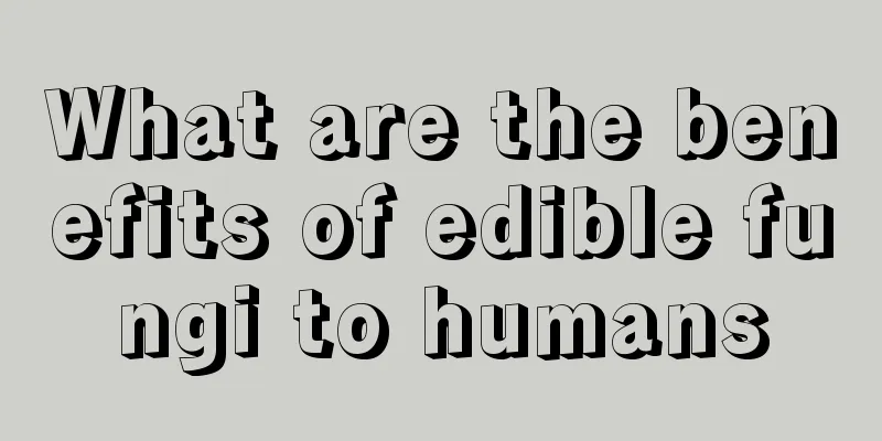 What are the benefits of edible fungi to humans