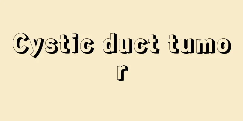 Cystic duct tumor