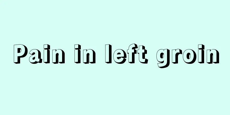 Pain in left groin