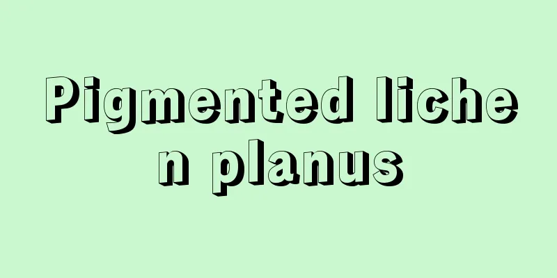 Pigmented lichen planus