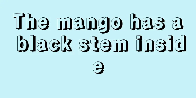 The mango has a black stem inside