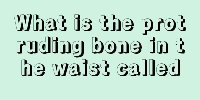 What is the protruding bone in the waist called