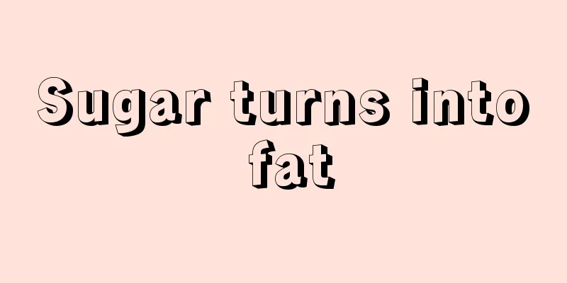 Sugar turns into fat
