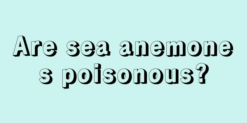 Are sea anemones poisonous?