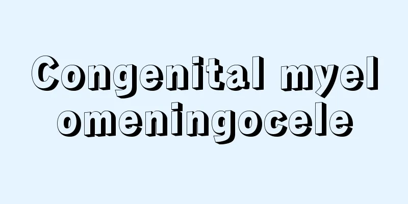 Congenital myelomeningocele