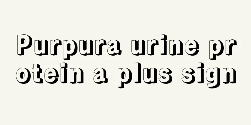 Purpura urine protein a plus sign