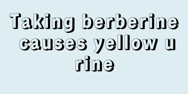 Taking berberine causes yellow urine
