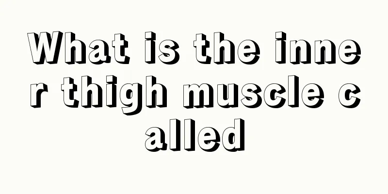 What is the inner thigh muscle called