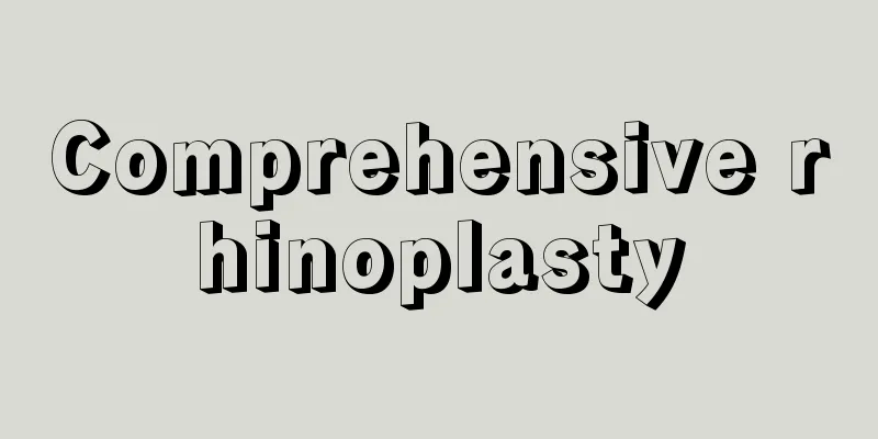 Comprehensive rhinoplasty