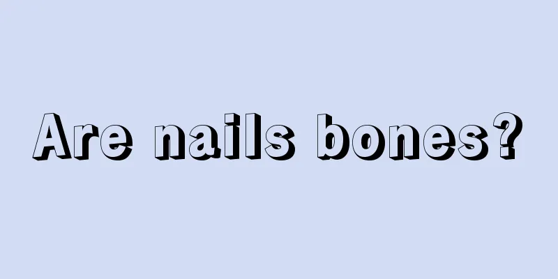 Are nails bones?