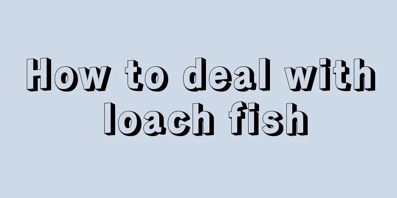 How to deal with loach fish