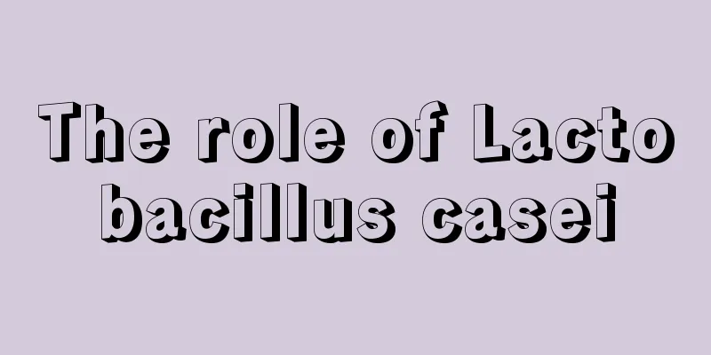 The role of Lactobacillus casei