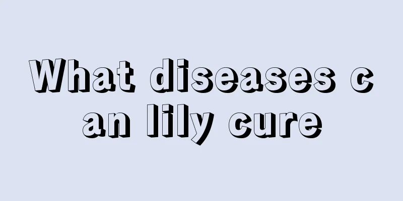 What diseases can lily cure