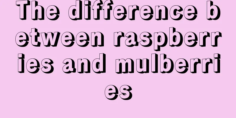 The difference between raspberries and mulberries