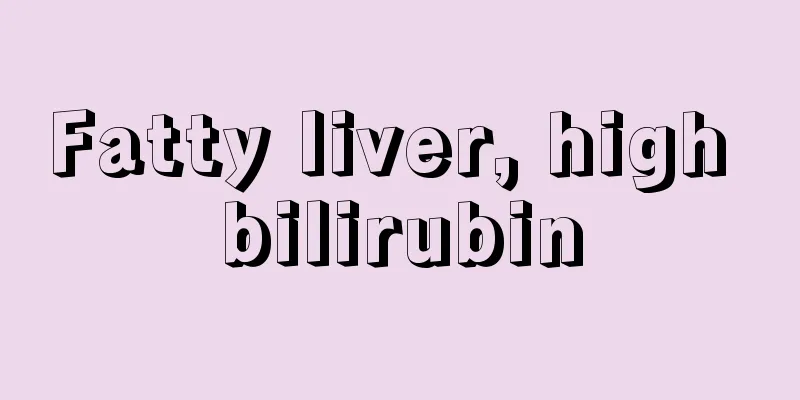 Fatty liver, high bilirubin