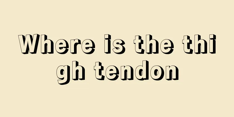 Where is the thigh tendon
