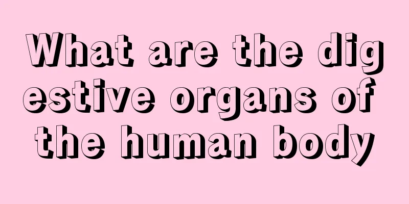 What are the digestive organs of the human body