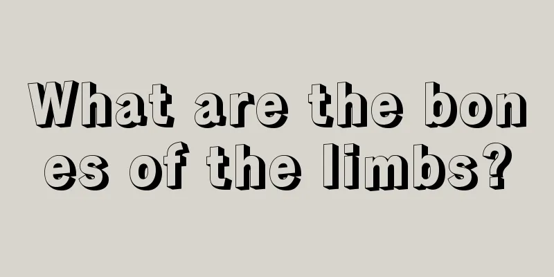 What are the bones of the limbs?