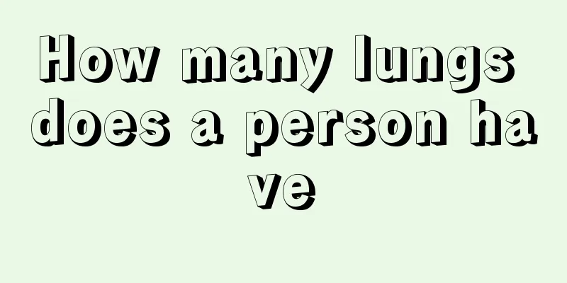 How many lungs does a person have