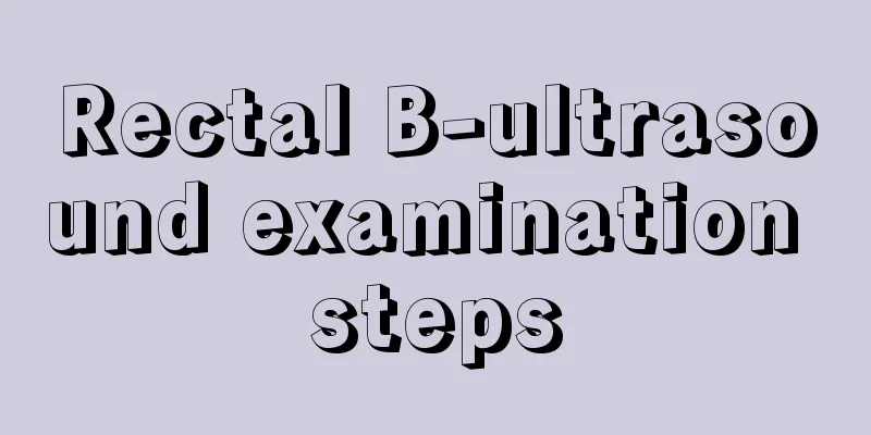 Rectal B-ultrasound examination steps