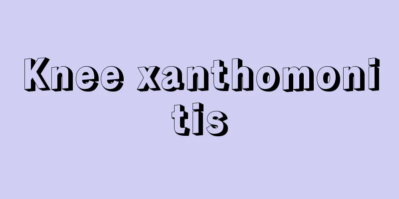 Knee xanthomonitis
