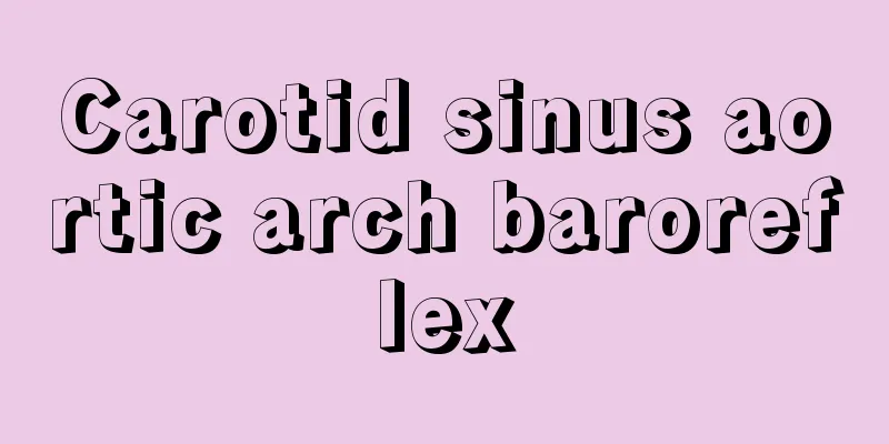 Carotid sinus aortic arch baroreflex