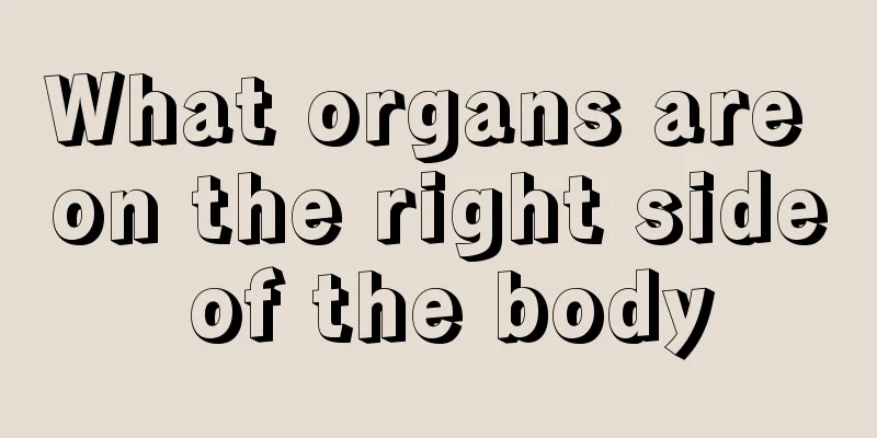 What organs are on the right side of the body