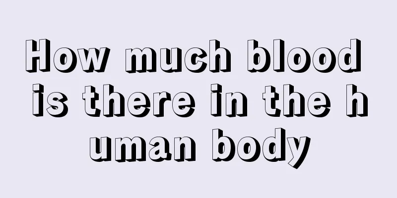 How much blood is there in the human body