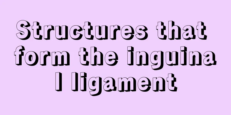 Structures that form the inguinal ligament