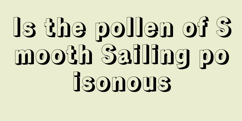 Is the pollen of Smooth Sailing poisonous