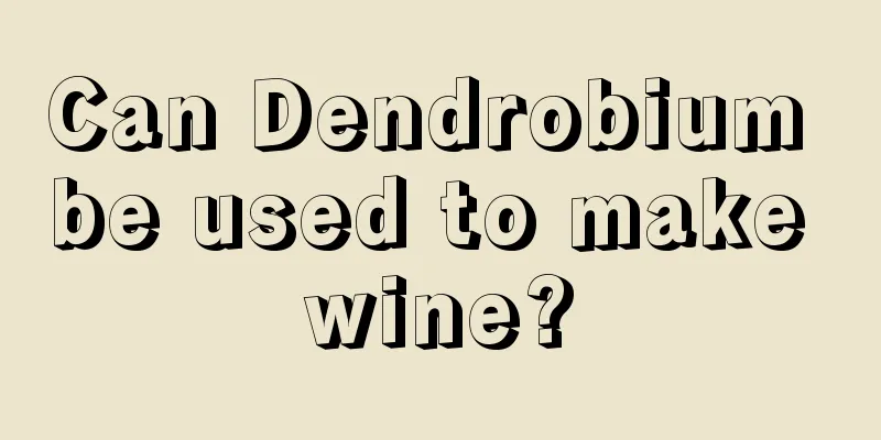 Can Dendrobium be used to make wine?