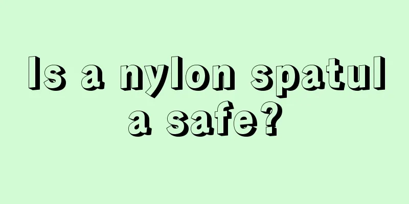 Is a nylon spatula safe?